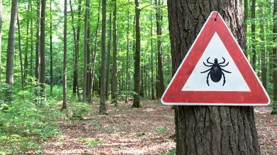 Kırım-Kongo kanamalı ateşi hakkında yanlış bilinenler