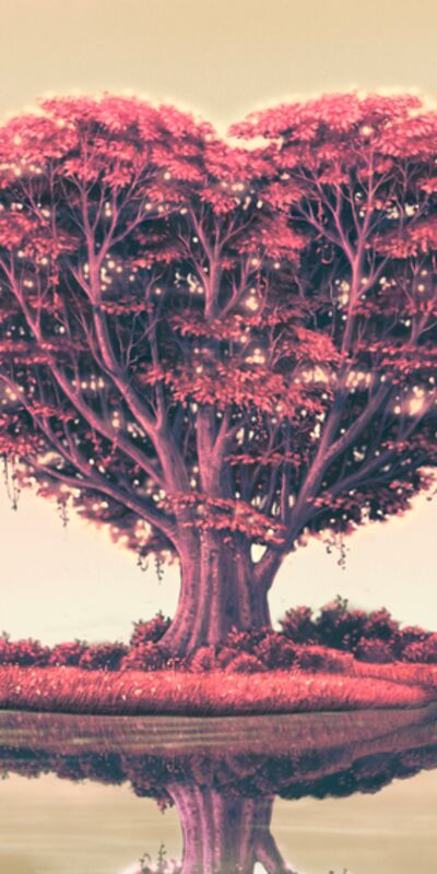 Hayatınızın aşkını nasıl bulabilirsiniz?