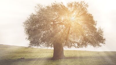 Korkularımızın kaynağı genlerimiz olabilir