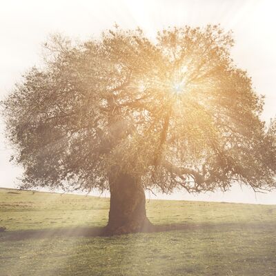 Korkularımızın kaynağı genlerimiz olabilir