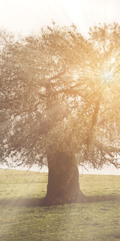 Korkularımızın kaynağı genlerimiz olabilir