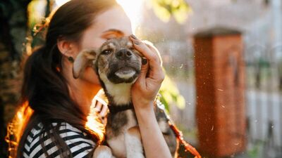 E-Devlet'in yeni uygulaması: Hayvan sahiplenme