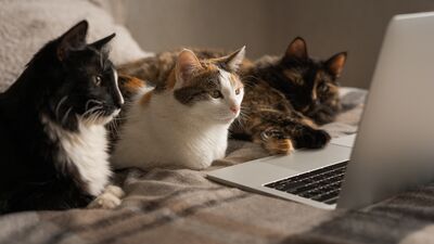 Haftanın yeni dizi ve filmleri