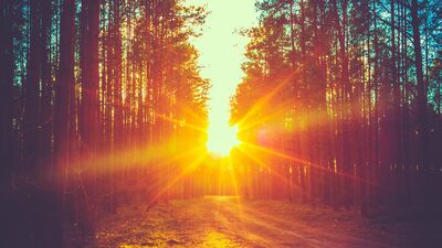 Depresyonun tedavisi gün ışığı!