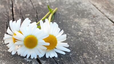  Kaygıdan kurtaran 3-3-3 kuralı