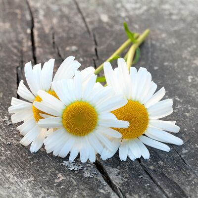 Kaygıdan kurtaran 3-3-3 kuralı