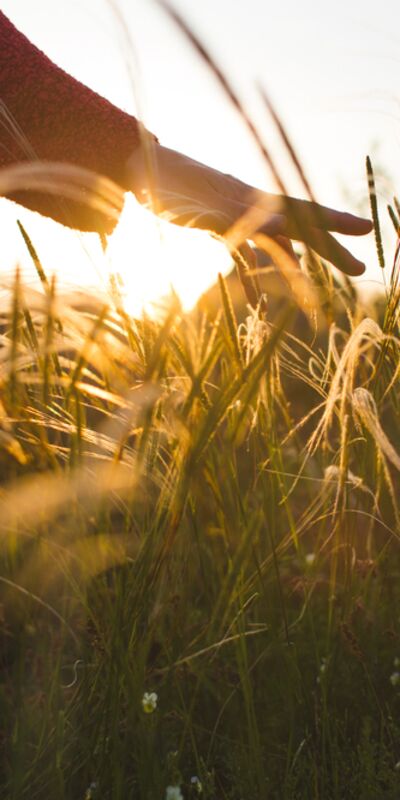 Dilay&#039;ın gebelik günlüğü: 7. hafta