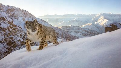 2022 Doğa Fotoğrafçısı Ödülü'nü kazanan fotoğraflar