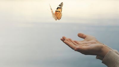 Sistem neyse insan da o&#039;dur...