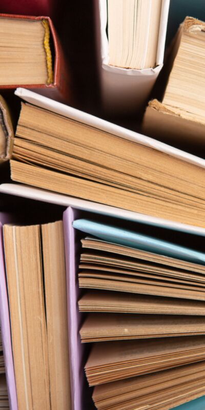 Bu yazar sizi günlük tutmaya ikna edecek!