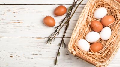Beyaz yumurta mı, kahverengi mi?