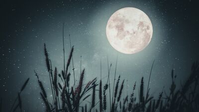 7 Ocak Yengeç burcunda Dolunay