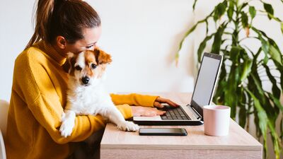 Evcil hayvanların da fobileri var!