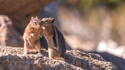 Dedikodudan nasıl korunabilirsiniz?
