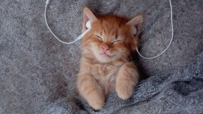  Uyumayı kolaylaştıran müzikler