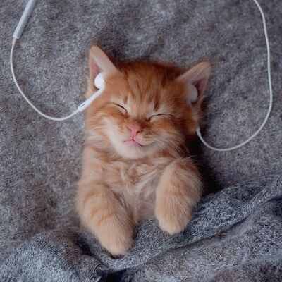 Uyumayı kolaylaştıran müzikler