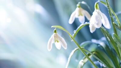 Psikolojik olarak daha güçlü olmanın 5 yolu