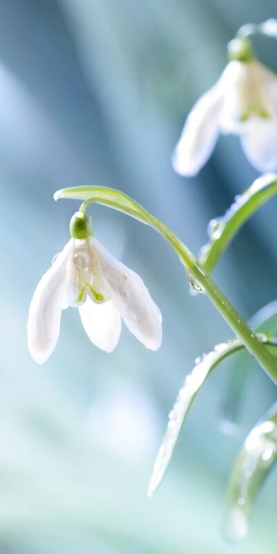 Psikolojik olarak daha güçlü olmanın 5 yolu