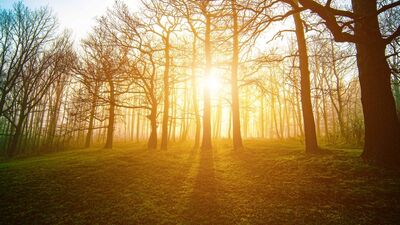 Zihinsel sağlığınızı geliştirecek 5 egzersiz