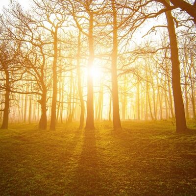 Zihinsel sağlığınızı geliştirecek 5 egzersiz