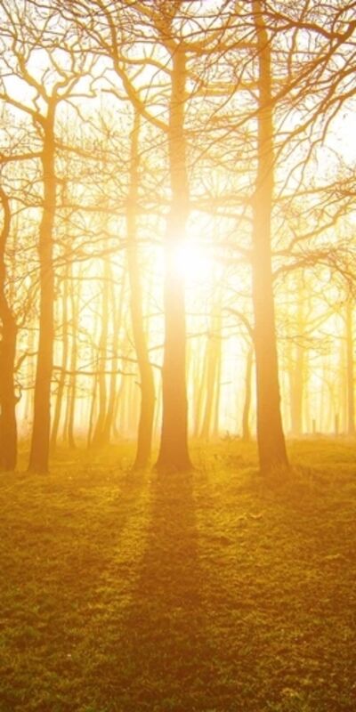 Zihinsel sağlığınızı geliştirecek 5 egzersiz