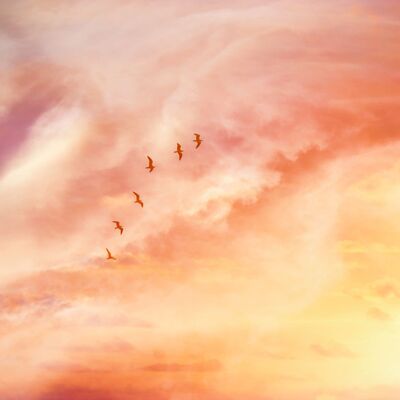 İhtiyacınız olan sadece günde 5 dakika...