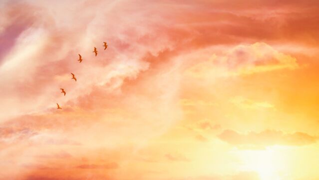 İhtiyacınız olan sadece günde 5 dakika...