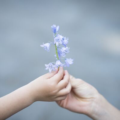 Çocuklarınıza dürüst olmayı öğretmenin 5 yolu