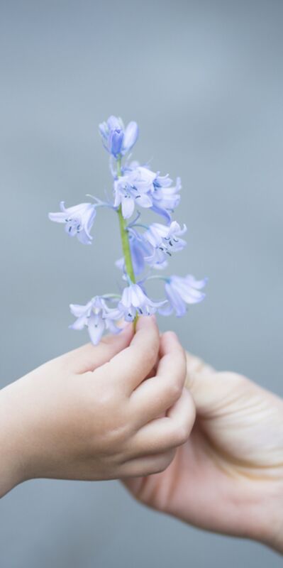 Çocuklarınıza dürüst olmayı öğretmenin 5 yolu