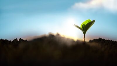 Deprem sonrası atık yönetimi