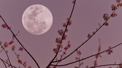 7 Mart Başak burcunda Dolunay