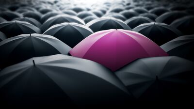 6284 sayılı kanun hakkında bilmemiz gerekenler...