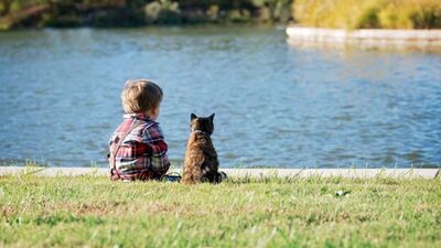 Mükemmel bebek bakıcıları: Kediler