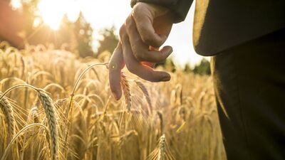 Dayanıklılığın oluşması için yardımcı faktörler nelerdir?