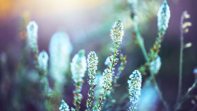 Üzerinizdeki stresi atmanın 10 basit yolu