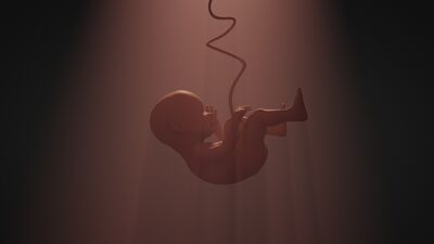 Rahim yapay, karar kimin?