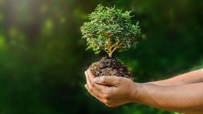 Çevre Proje Çağrısı - 2023