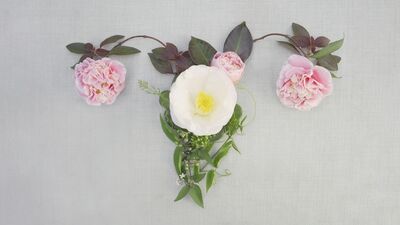 Tanıyalım: Pelvik taban