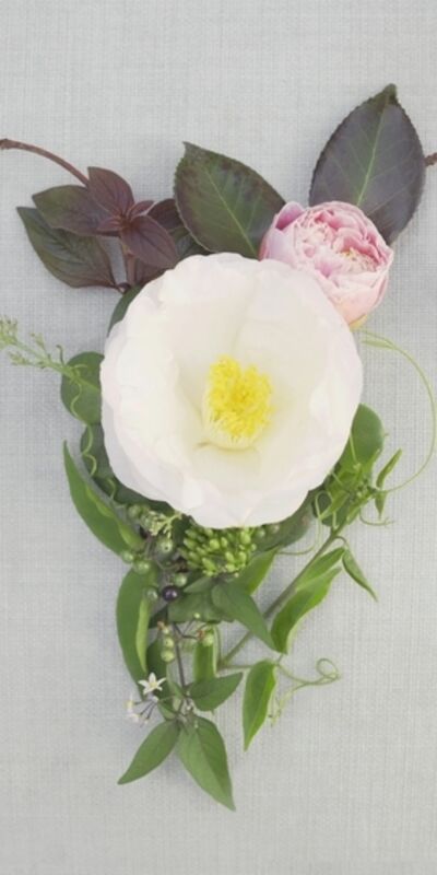 Tanıyalım: Pelvik taban