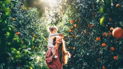 Hangi burç nasıl anne olur?