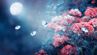 Haftalık burç yorumları: 15 - 21 Mayıs