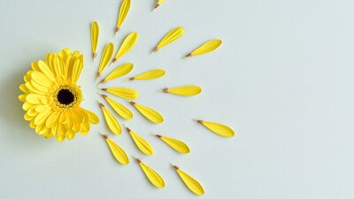 Ruh halinizi anında iyileştirmenin 10 kolay yolu