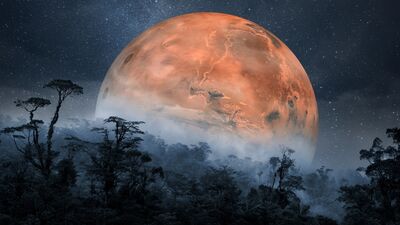 Mars Aslan burcunda (20 Mayıs - 10 Temmuz)