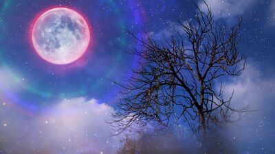 Günlük burç yorumları: 26 Mayıs Cuma