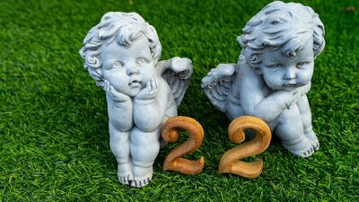 Melek sayımı nasıl bulurum?