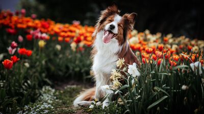 Hayata dair basit ama etkili 10 öneri