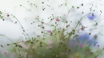 Hayata dair basit ama etkili 10 öneri