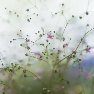 Hayata dair basit ama etkili 10 öneri