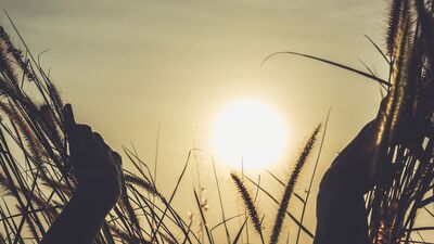 Sezgilerinizi güçlendirmek ister misiniz?