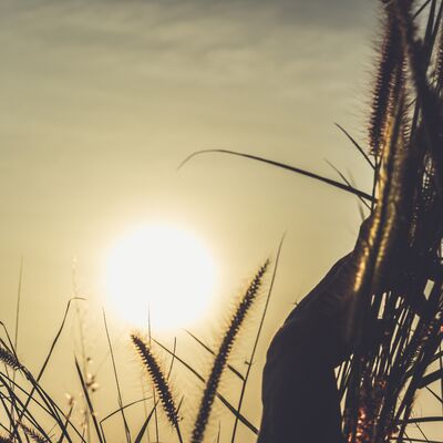 Sezgilerinizi güçlendirmek ister misiniz?